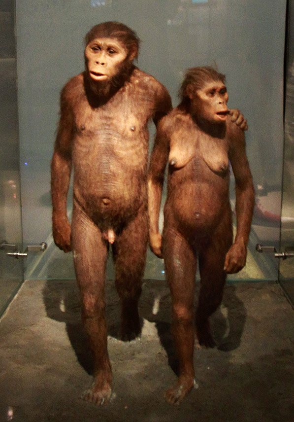 couple australopitheques