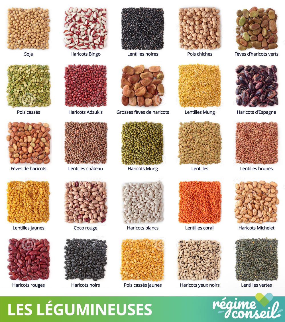 legumineuses