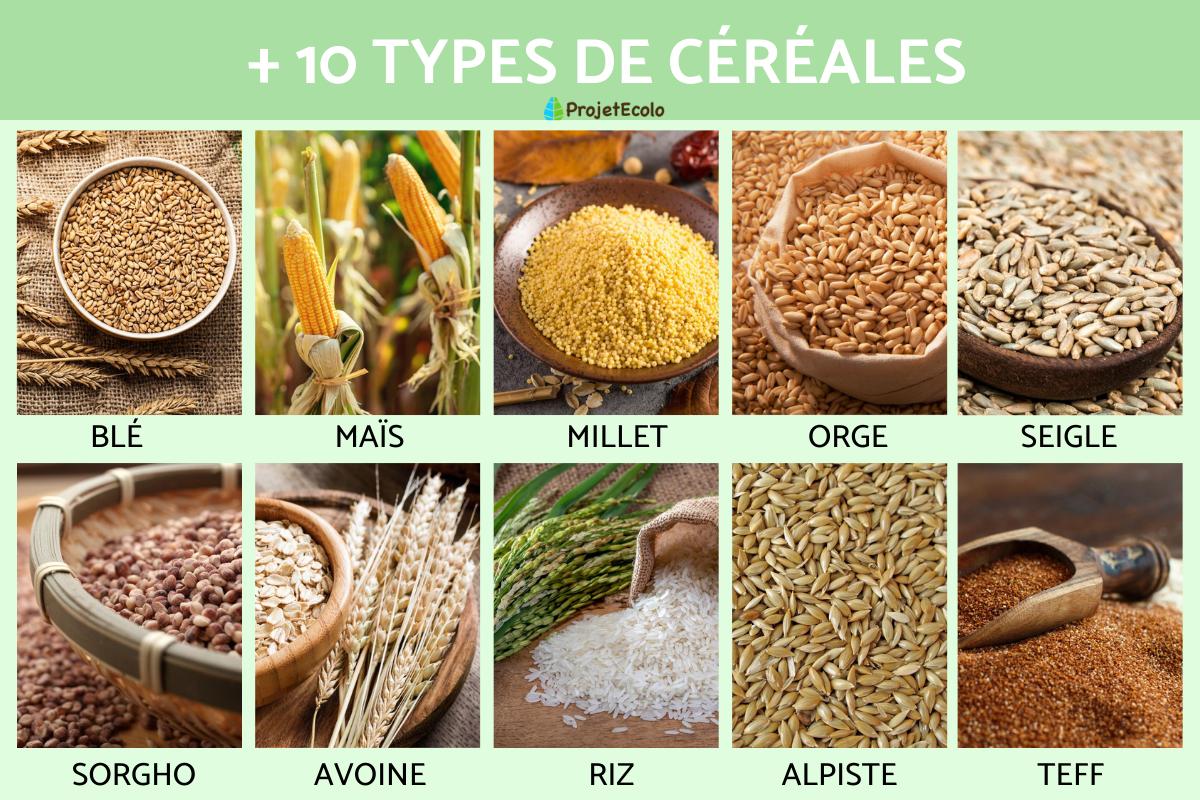 types de cereales