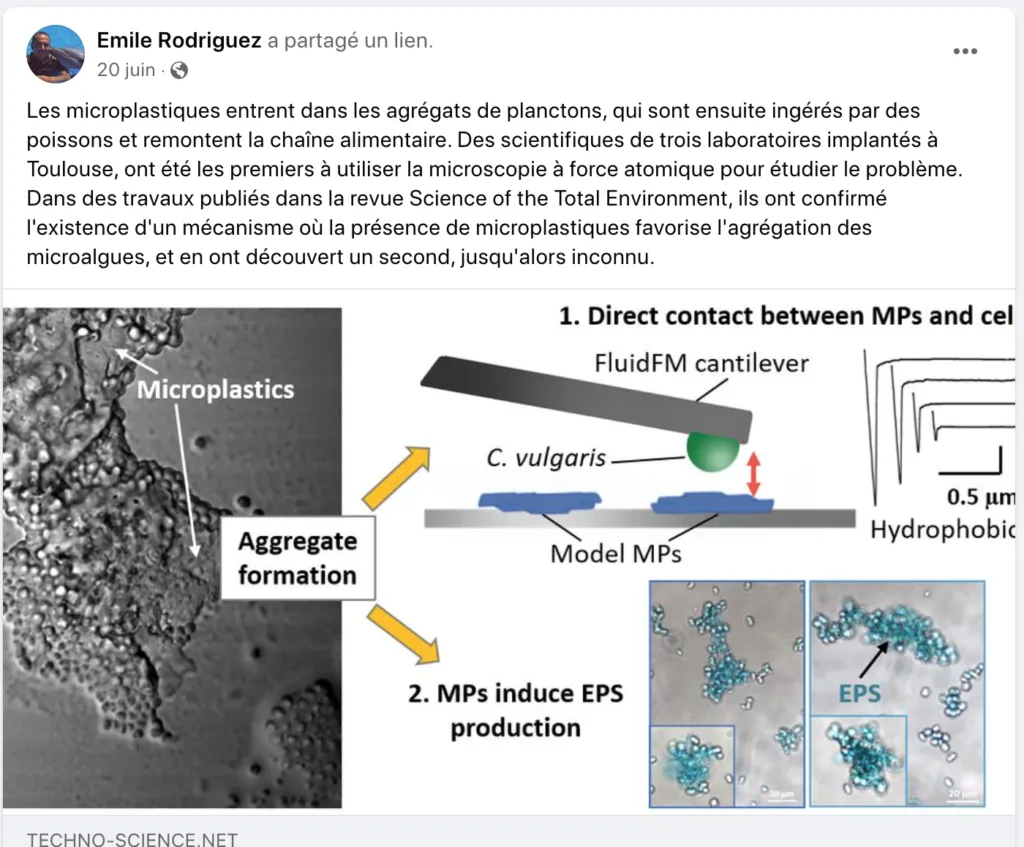 Les-microplastiques-entrent-dans-les-agrégats-de-planctons