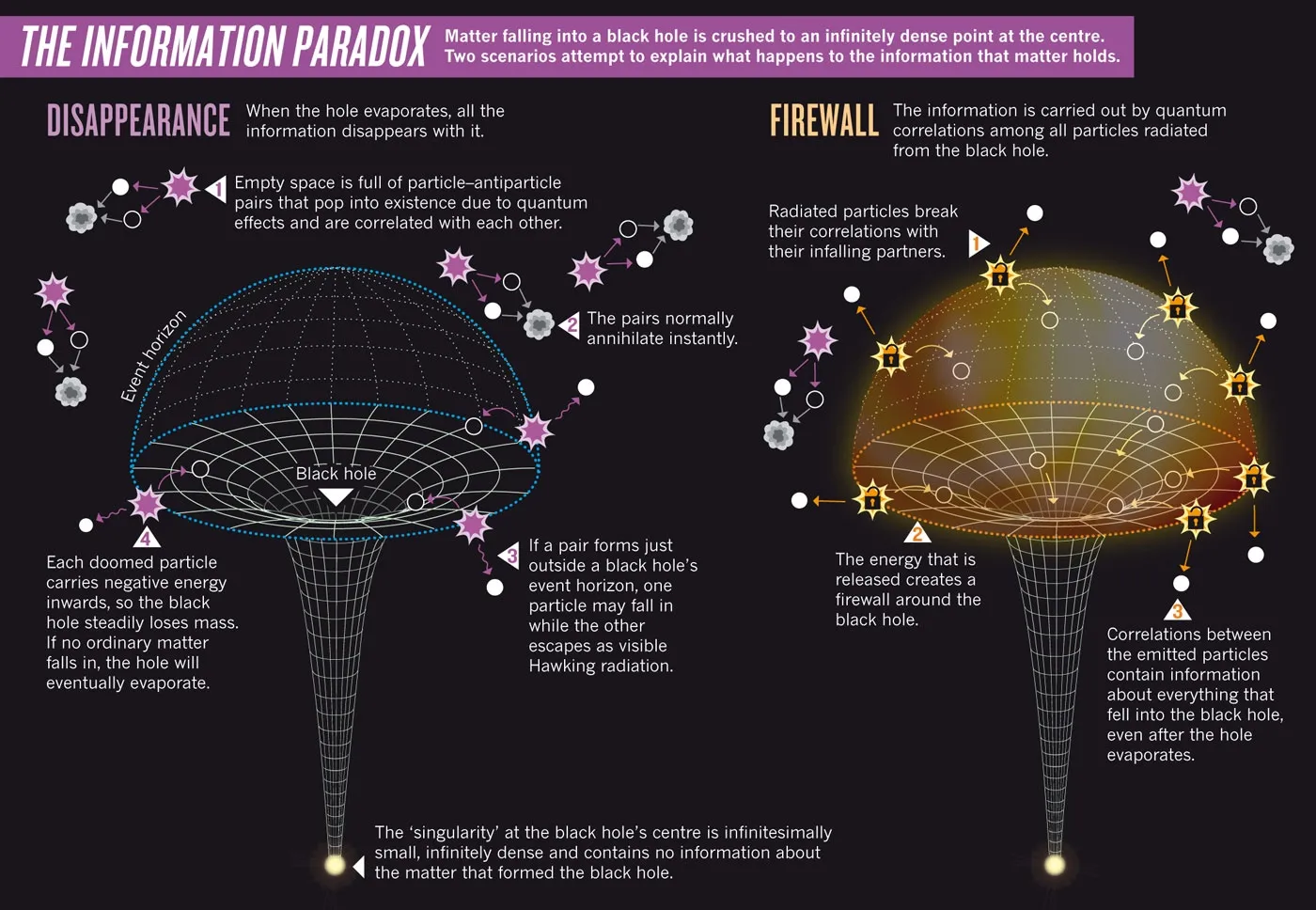 Information-Paradox-Infographic